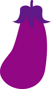 Eggplant vegetable