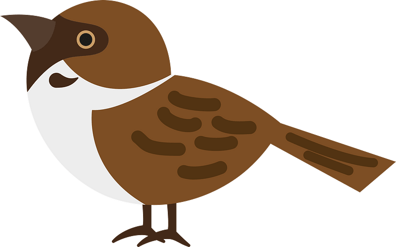 Eurasian tree sparrow