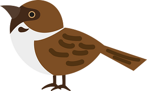 Eurasian tree sparrow