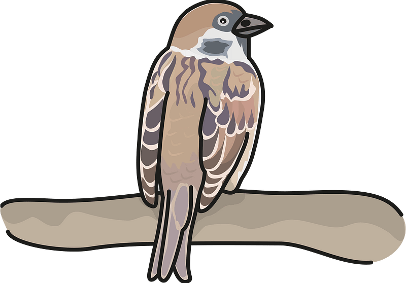 Eurasian tree sparrow