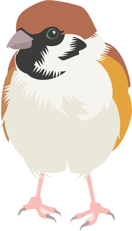 Eurasian tree sparrow