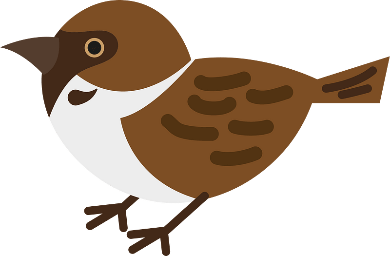 Eurasian tree sparrow