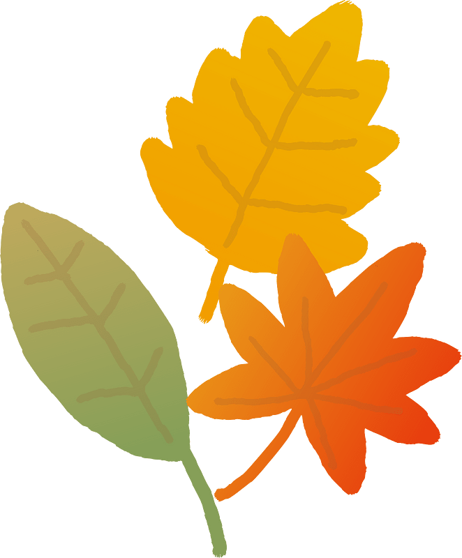 Fallen leaves sketchbook