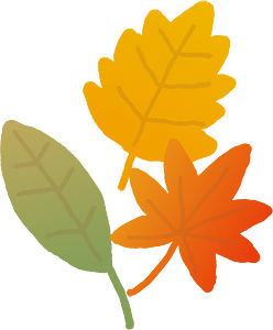 Fallen leaves sketchbook