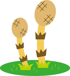 Field horsetail