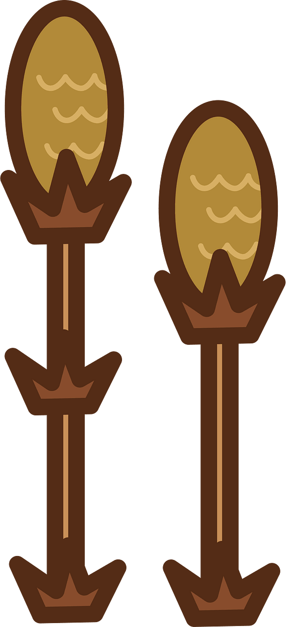 Field horsetail