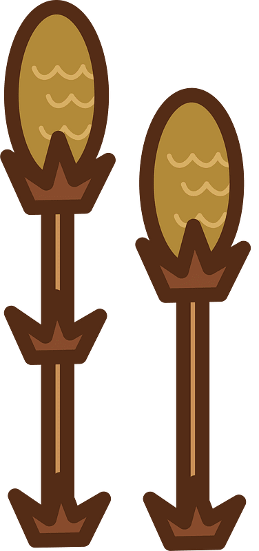 Field horsetail
