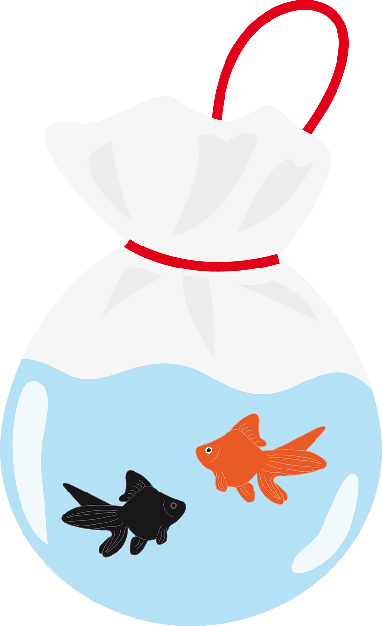 Fish bag