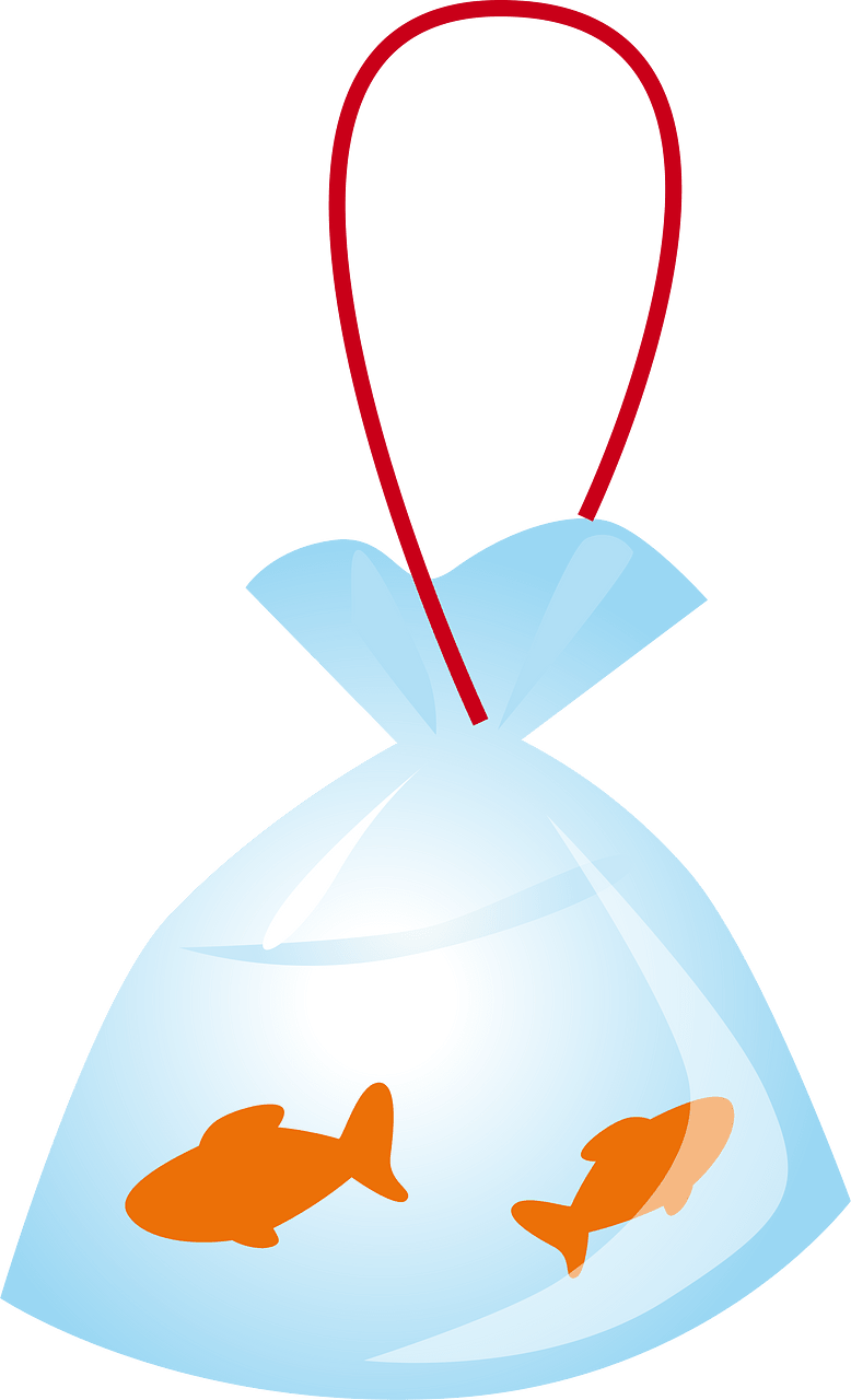 Fish bag