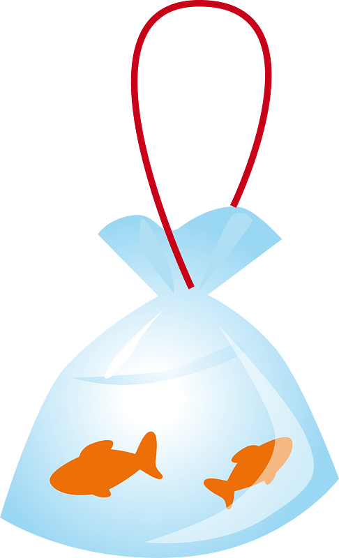 Fish bag