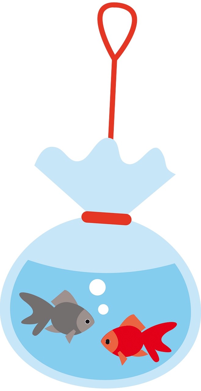 水族缸