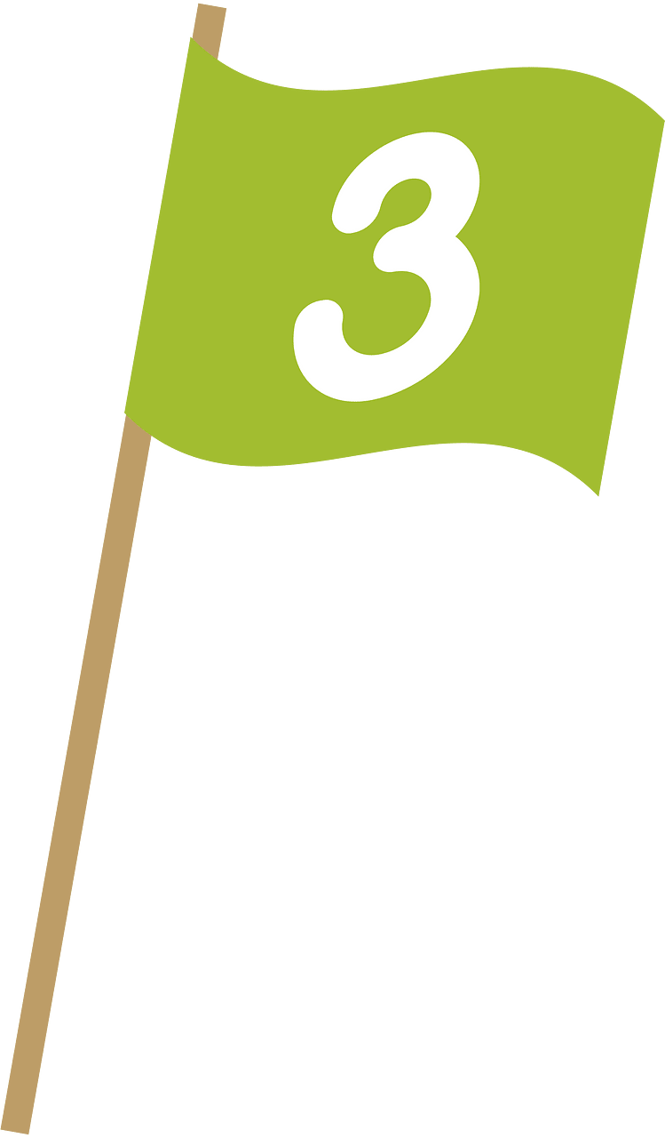 Flag 3