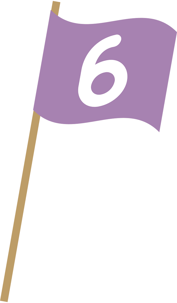 Flag 6
