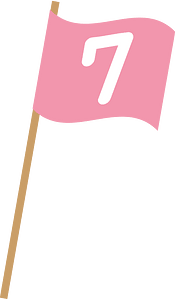 Flag number seven