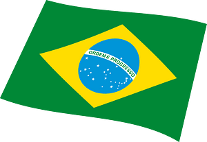 Flag of brazil