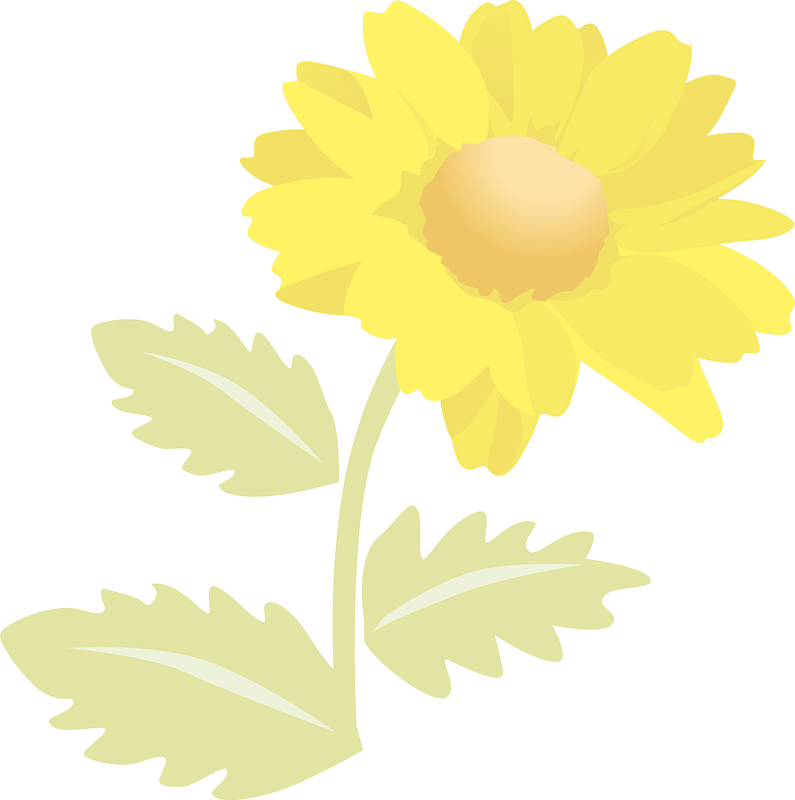 Flower background