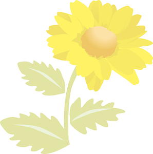 Flower background