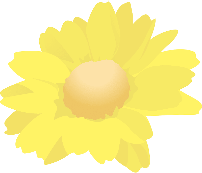 Flower background