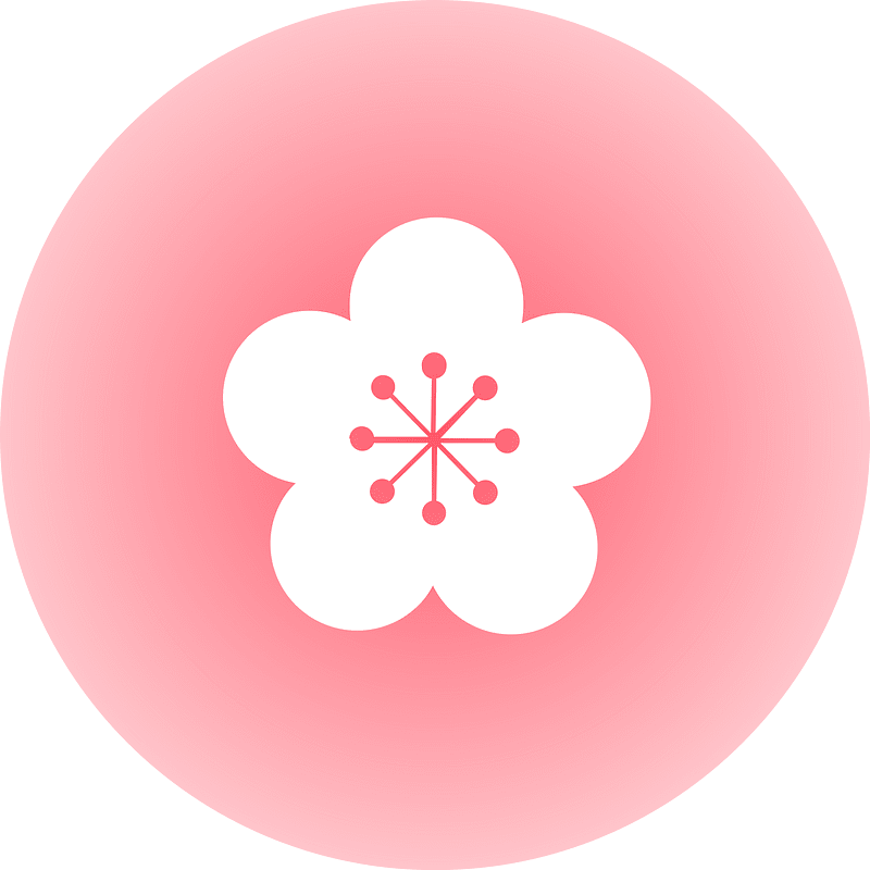 Flower cherry blossoms