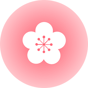 Flower cherry blossoms