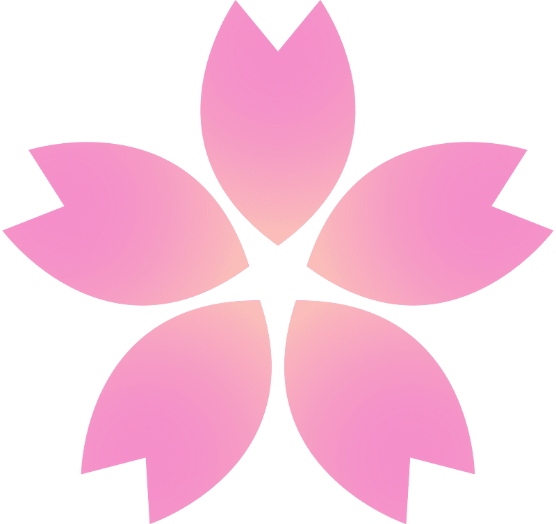 Flower cherry blossoms