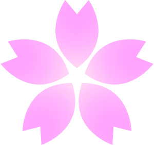 Flower cherry blossoms