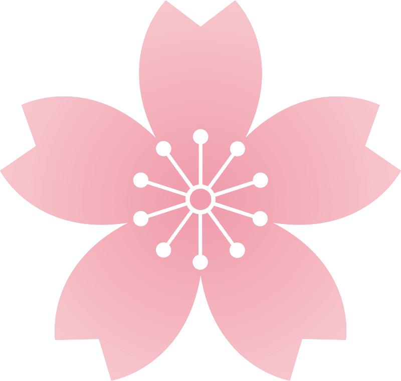 Flower cherry blossoms