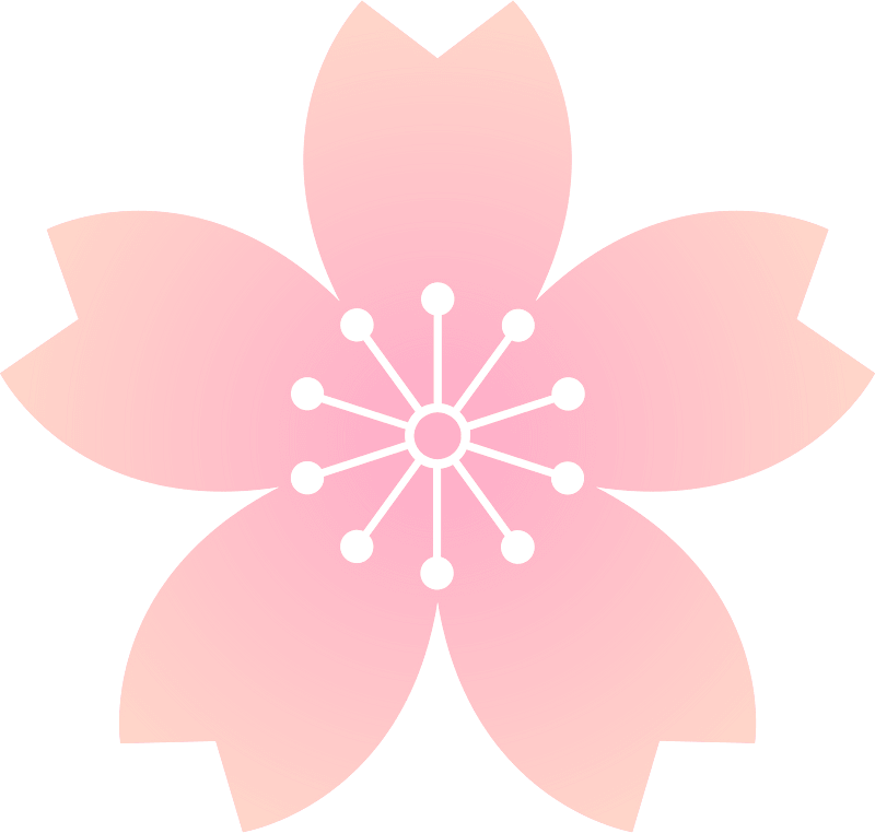 Flower cherry blossoms