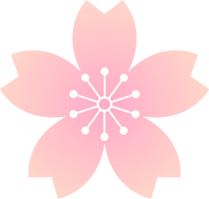 Flower cherry blossoms