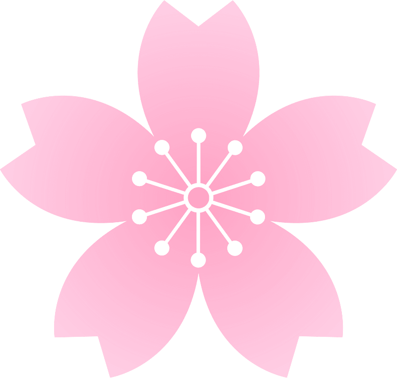 Flower cherry blossoms