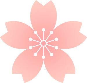 Flower cherry blossoms