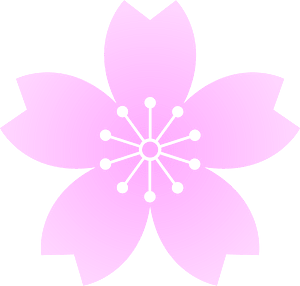 Flower cherry blossoms