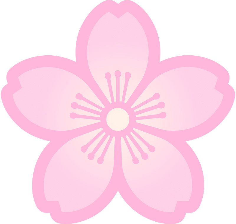 Flower cherry blossoms