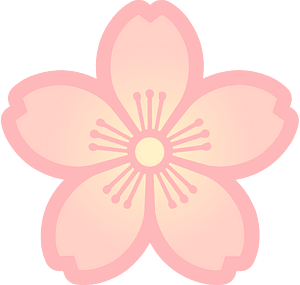 Flower cherry blossoms