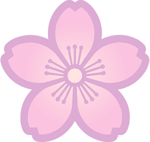 Flower cherry blossoms