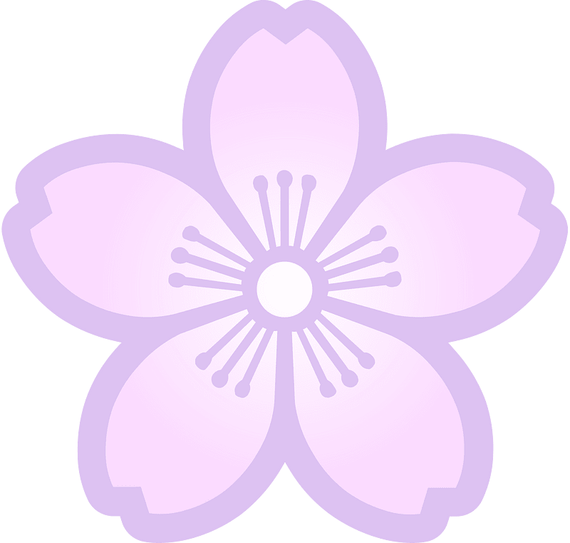 Flower cherry blossoms