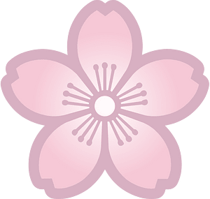 Flower cherry blossoms
