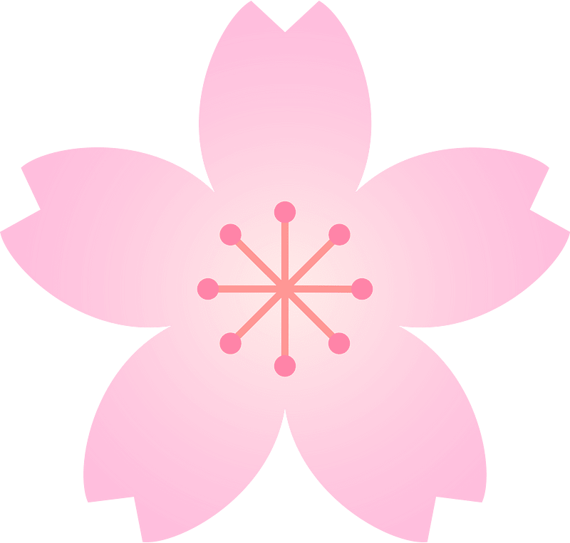 Flower cherry blossoms