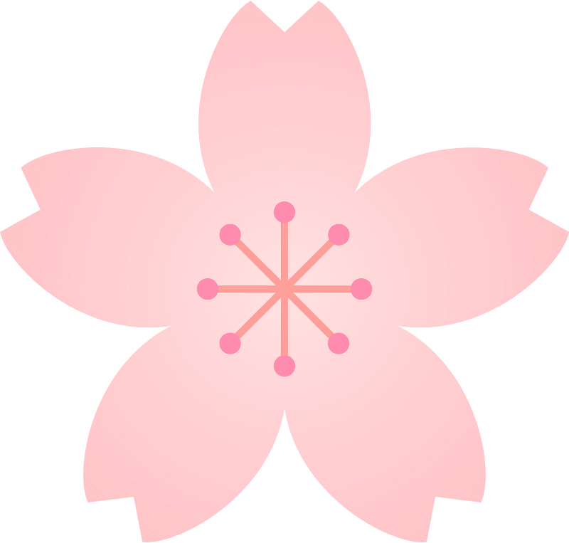 Flower cherry blossoms