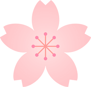 Flower cherry blossoms