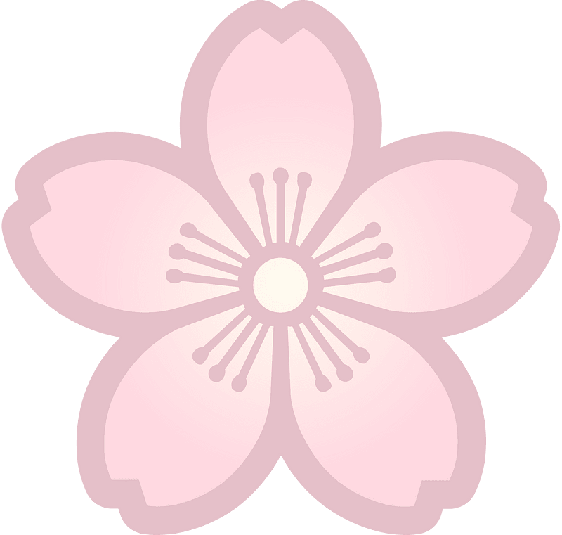 Flower cherry blossoms