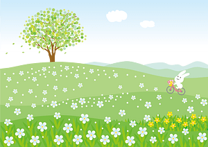Flower hill rabbit bicycle