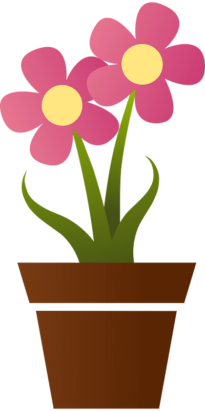 Flower pot