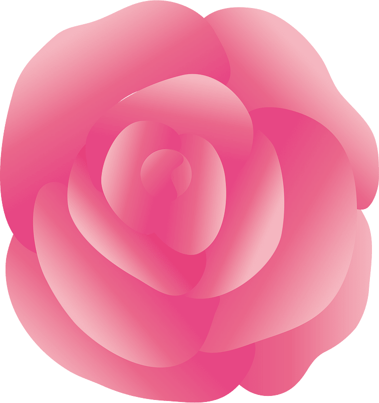 Flower rose