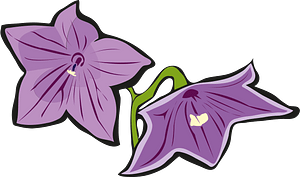 Flower set