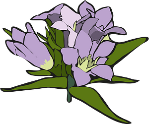 Flower set