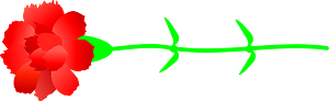 꽃