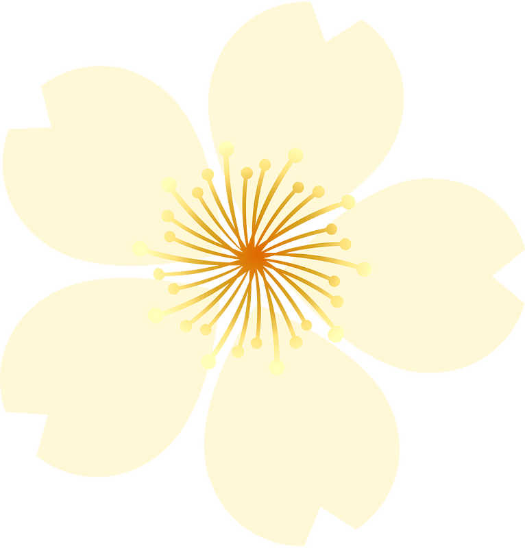 꽃