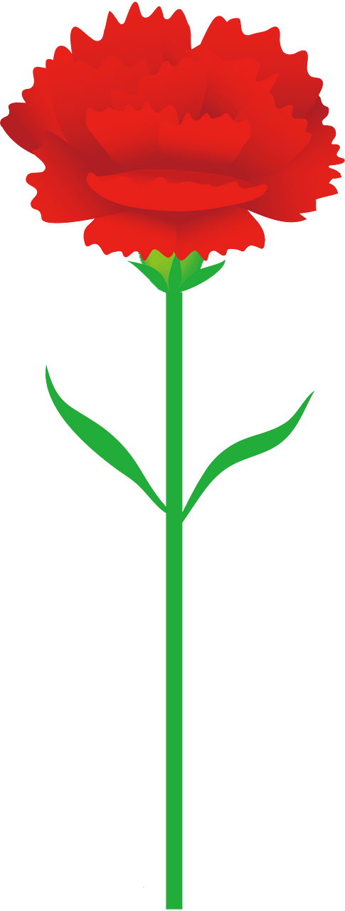 花卉