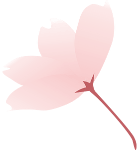 Blomma